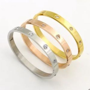 1 Silver Color Luxury Bracelet